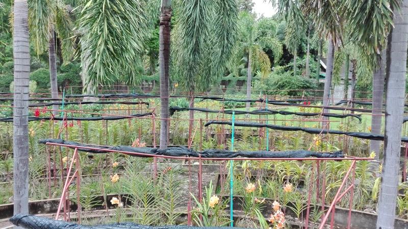 Botanická záhrada v Chiang Mai