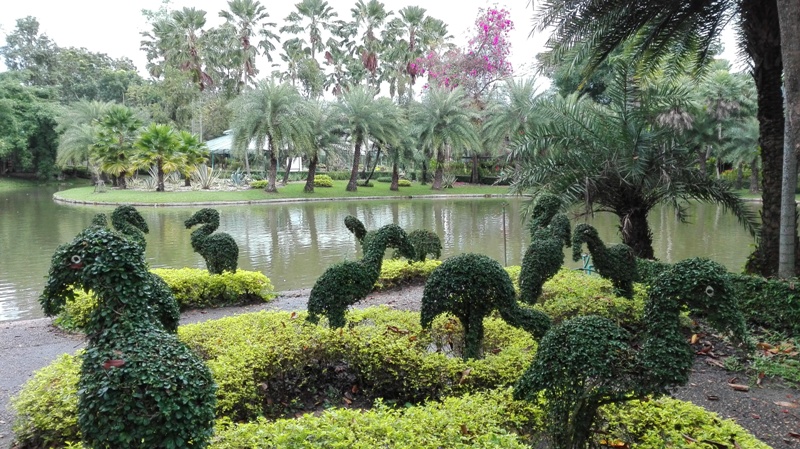 Tweechol botanická záhrada v Chiang Mai
