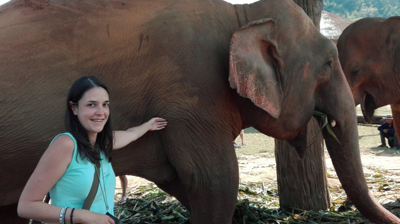 Sloní park v severnom Thajsku