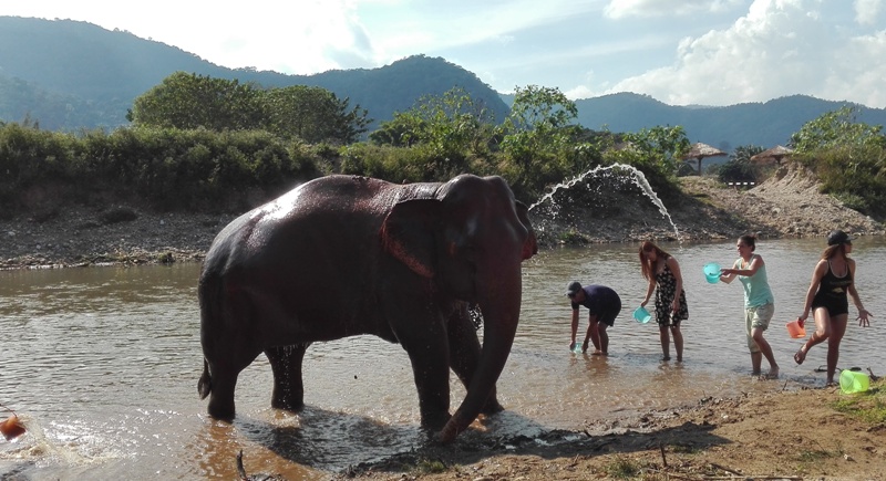 Kúpeľ so slonom