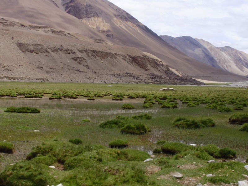 jazero pangong