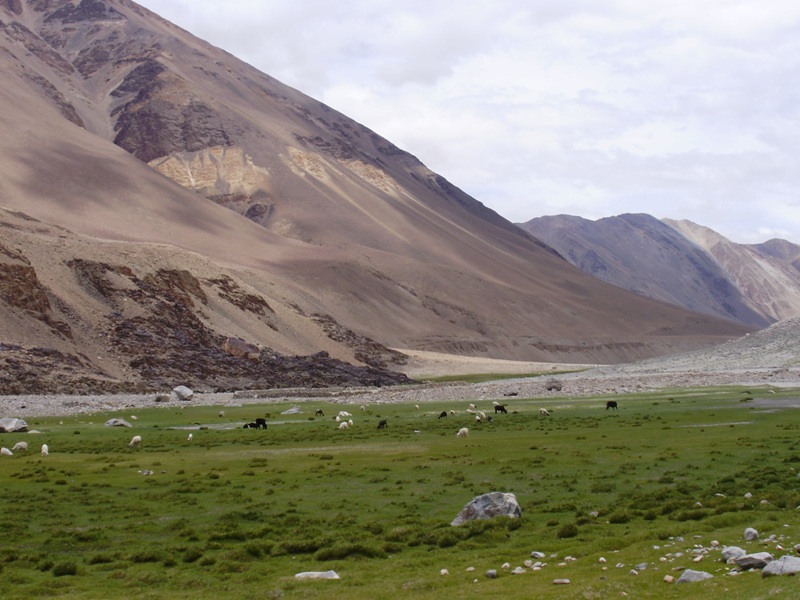 jazero pangong