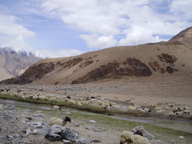 jazero pangong