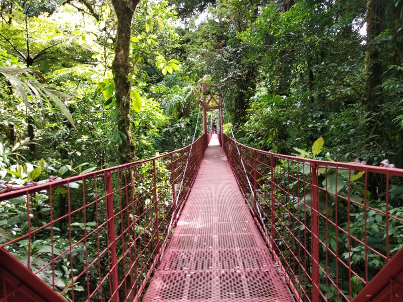Visiaci most v Monteverde rezervácii