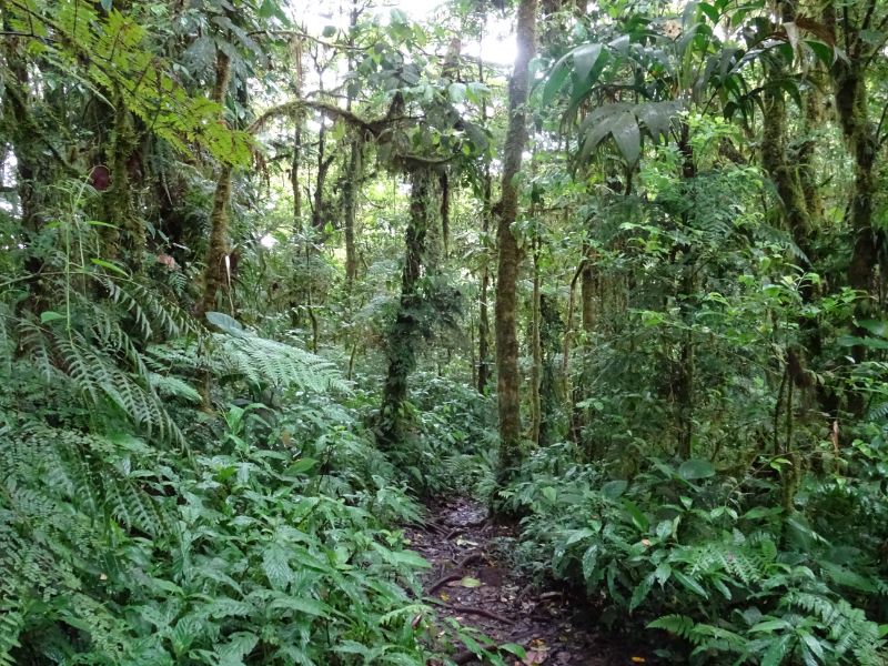 Prírodná rezervácia Santa Elena