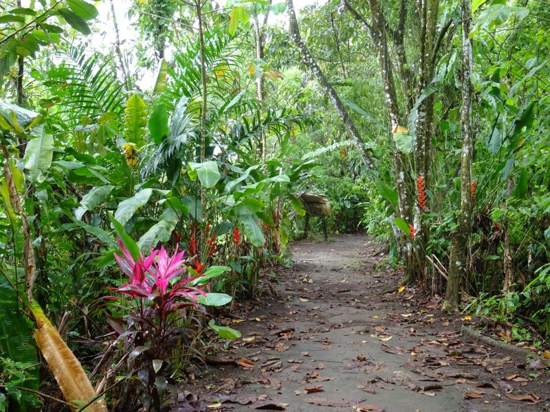 Kostarická príroda