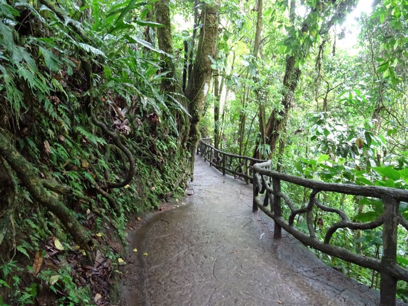 Chodníček visiace mosty kostariky