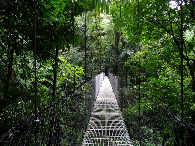visiace mosty v kostarike