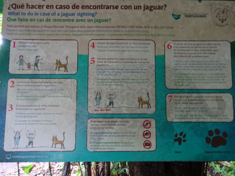 výstražná tabuľa jaguáre, Kostarika