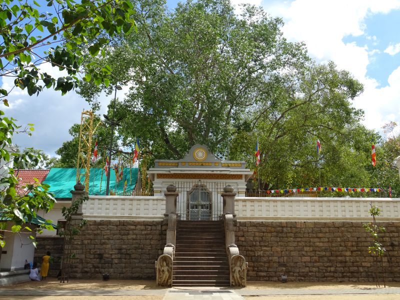 Strom Jaya Sri Maha Bodhi
