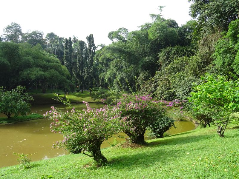Kráľovská botanická záhrada, Kandy