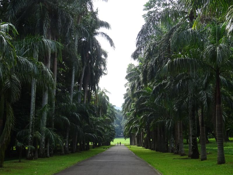 Botanická záhrada, Srí Lanka