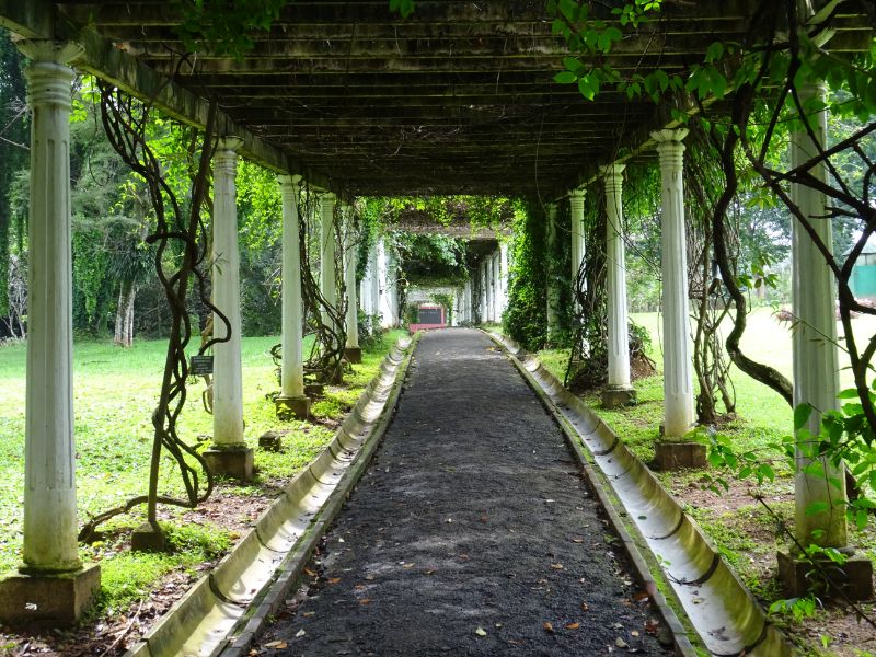 Botanická záhrada v Kandy, Srí Lanka