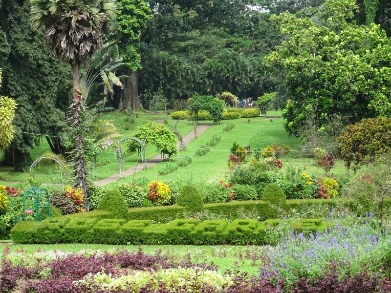 Botanická záhrada v Kandy, Srí Lanka
