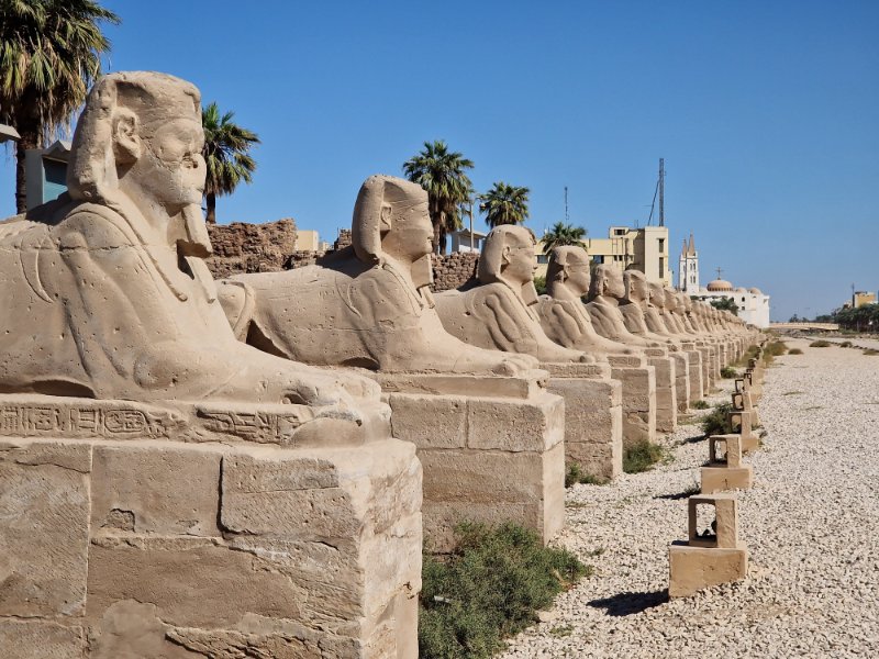ulička sfíng, luxor