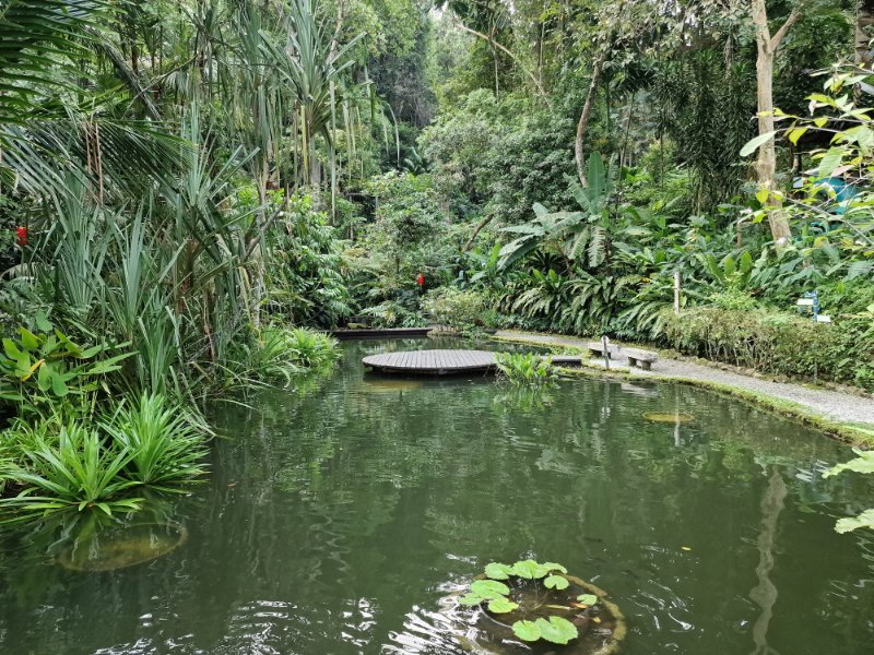 Tropická záhrada, tropical spice garden, v Penangu