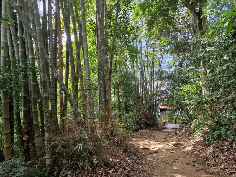 Heritage trail, túra v Malazii