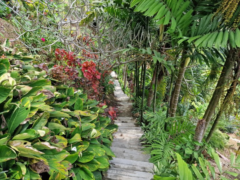 Turistika, Penang hill, Malajzia