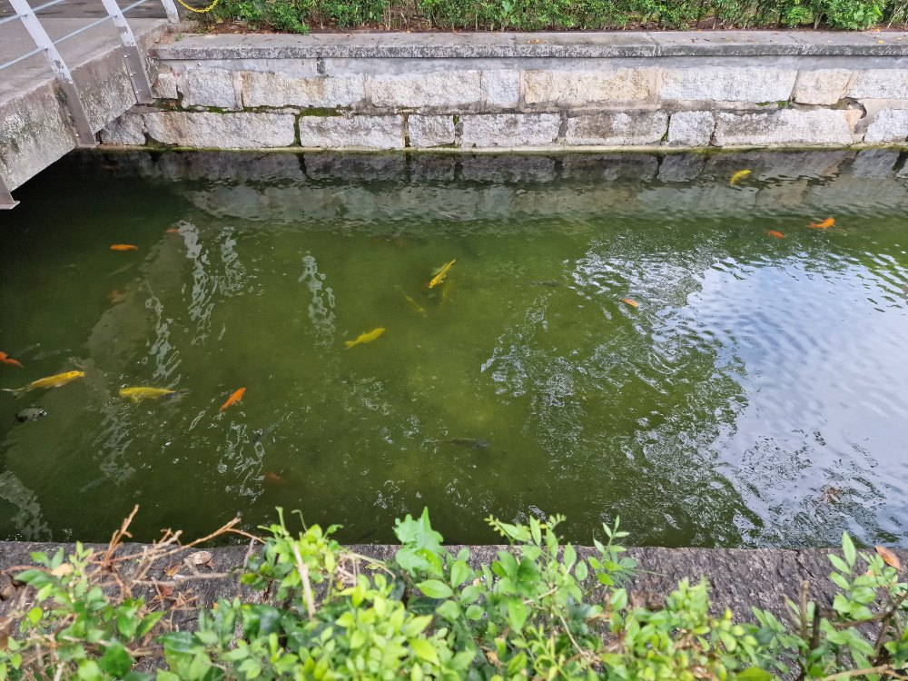 Prangin park