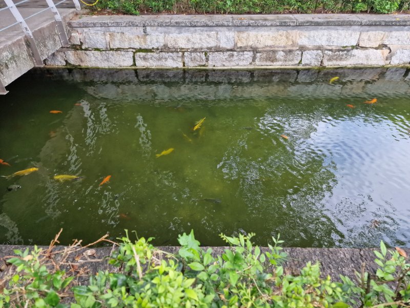 Prangin park