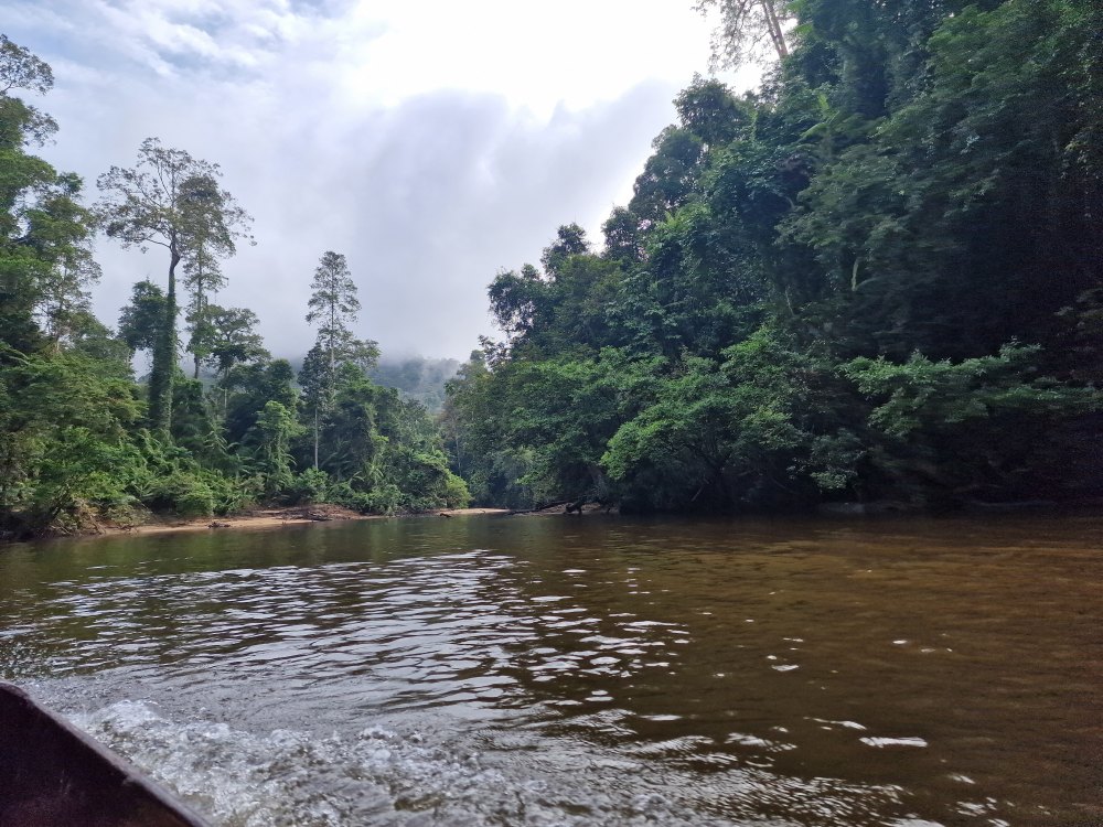 Taman Negara