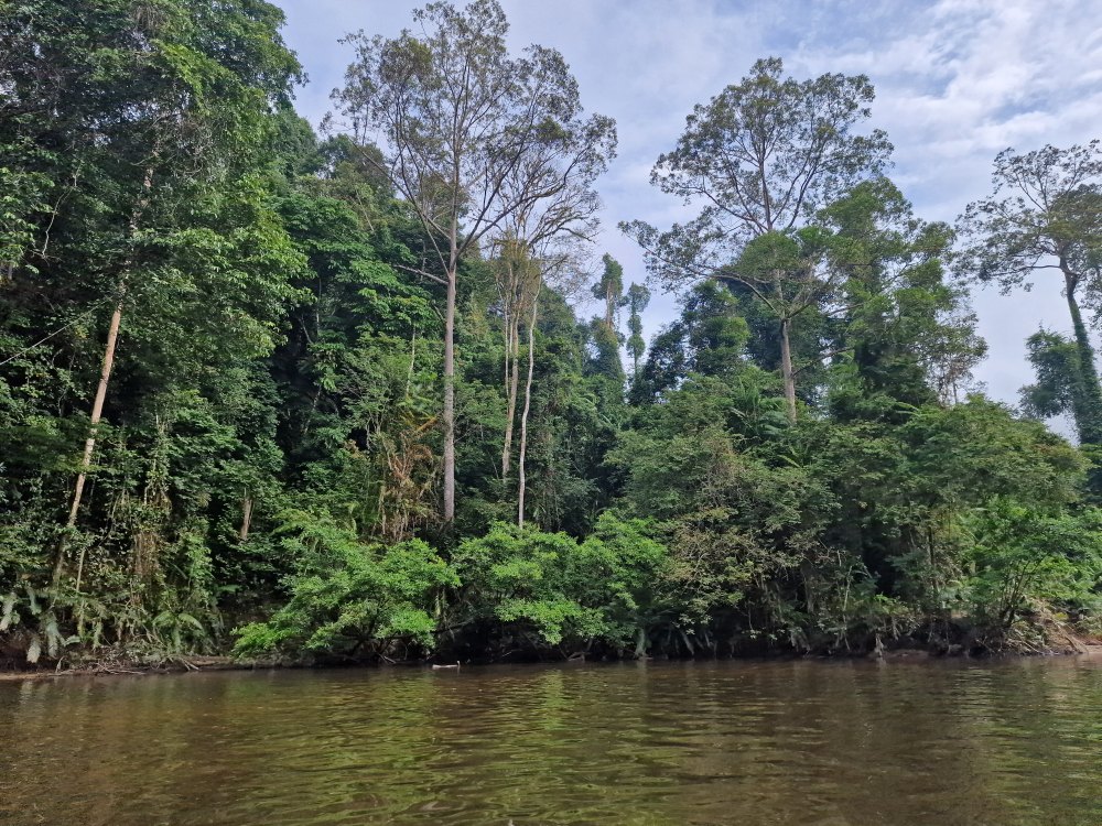 Taman Negara