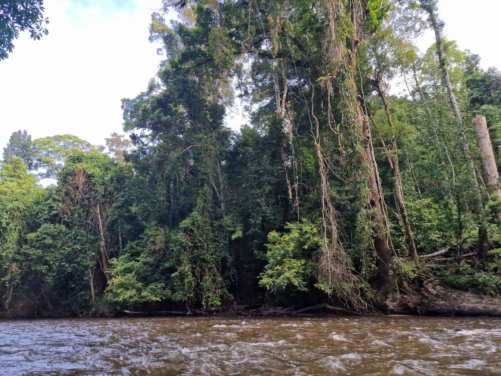 Výlet loďkou v Taman Negara