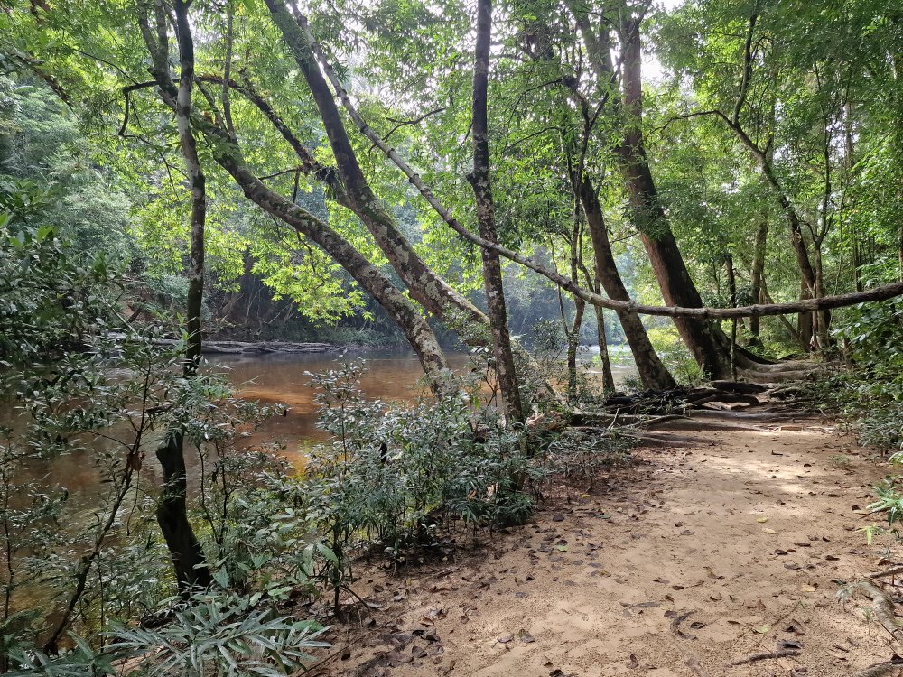Cesta k Lata Berkoh v Taman Negara