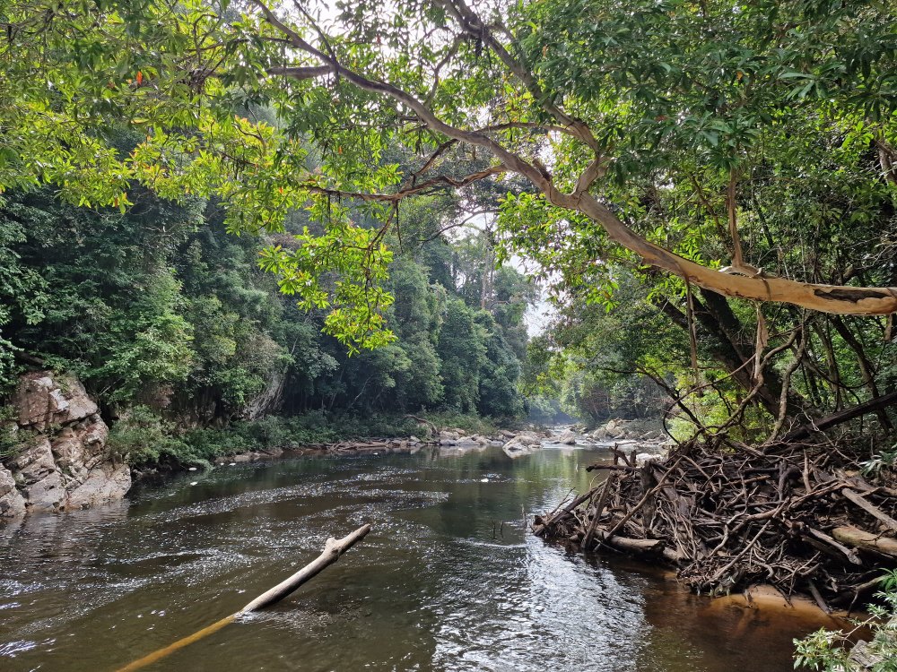 Lata Berkoh v Taman Negara