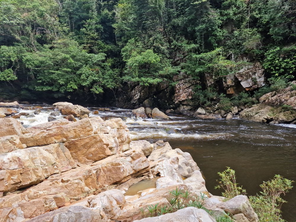Lata Berkoh v Taman Negara