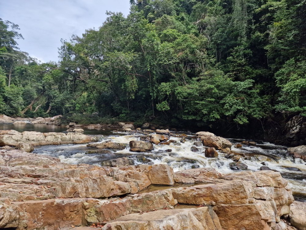 Lata Berkoh v Taman Negara