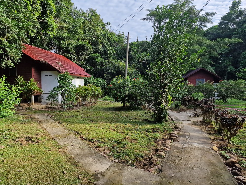 Kuala Tahan, ubytovanie park lodge
