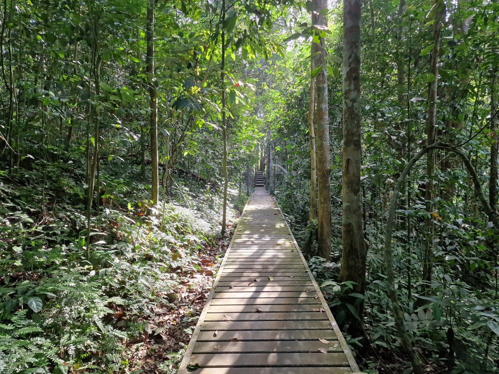 Centrála národného parku Taman Negara