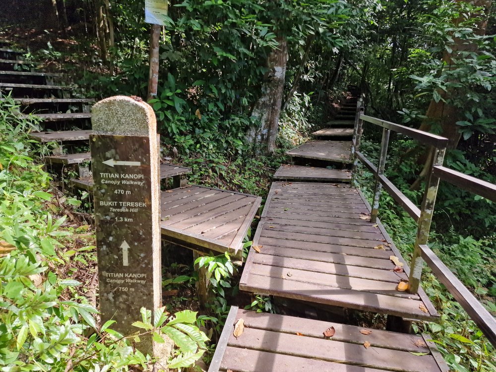 Vysutý most v pralese Taman Negara