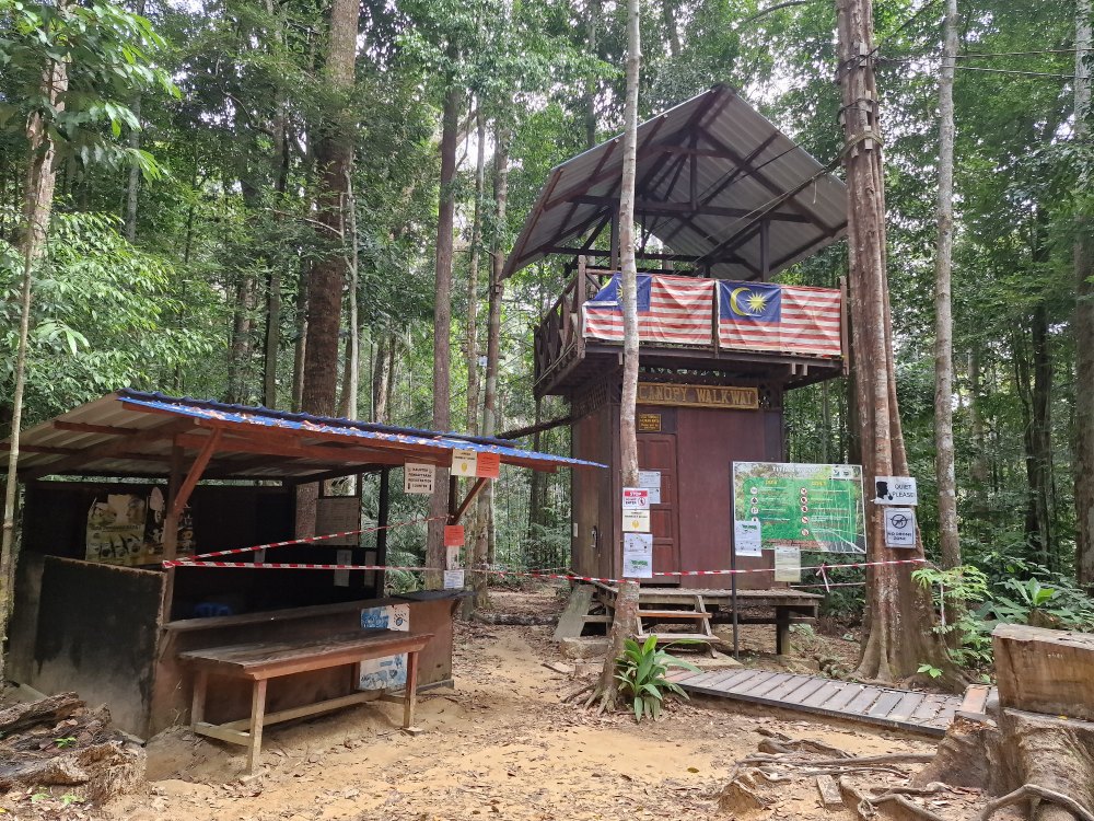 Vysutý most v pralese Taman Negara