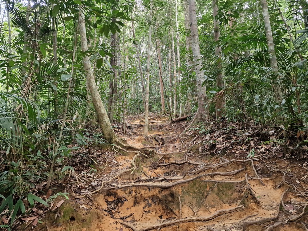 Bukit Teresek