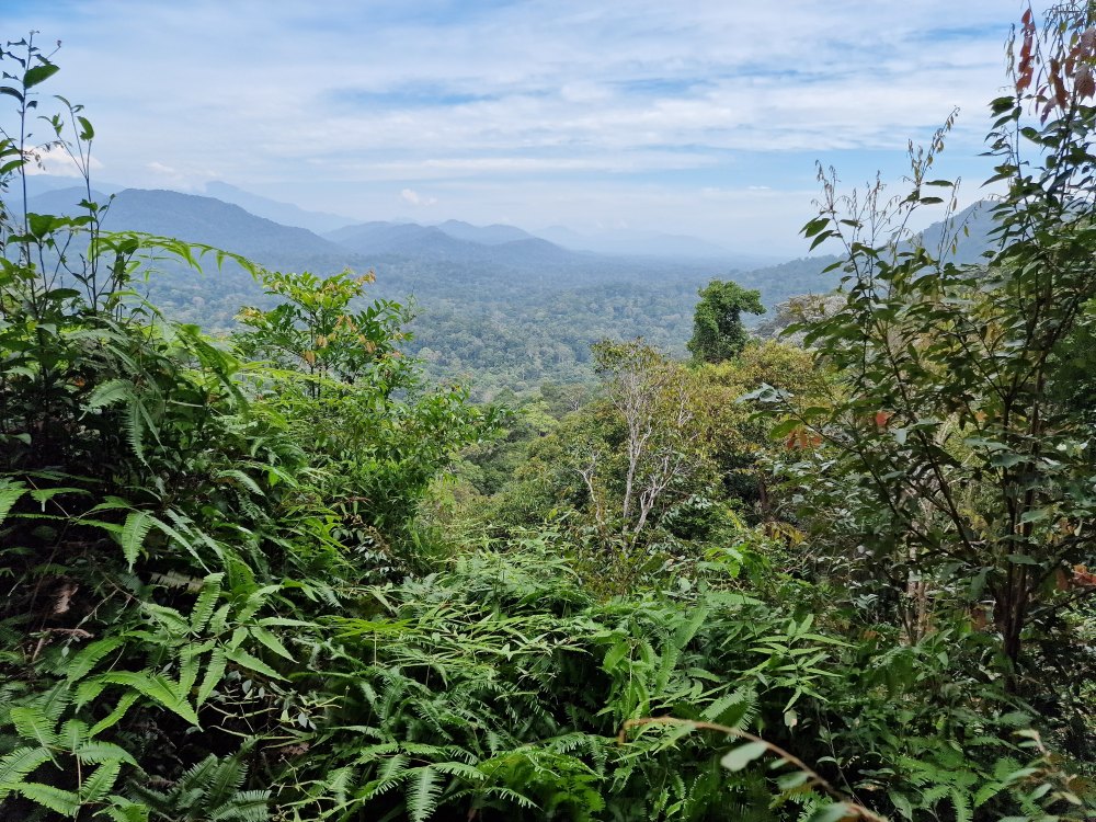 Bukit Teresek