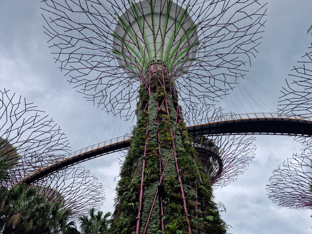 Záhrady v Singapure, Garden by the bay