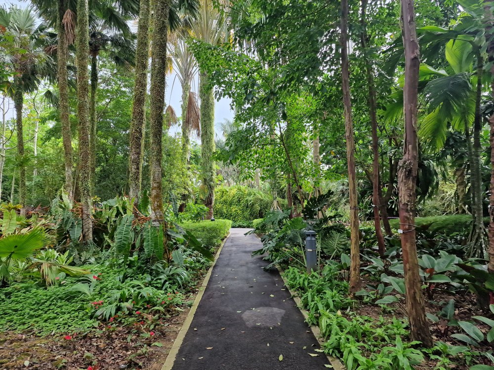 Garden by the bay v Singapure