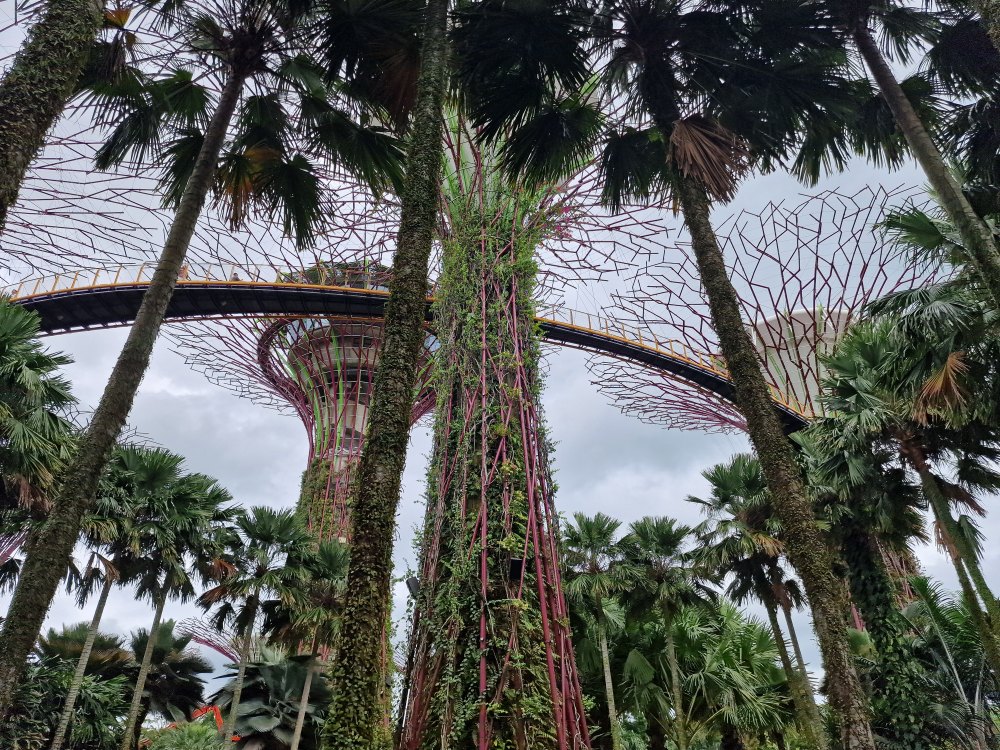 Záhrady v Singapure, Garden by the bay