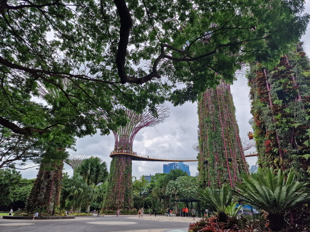 Záhrady v Singapure, Garden by the bay