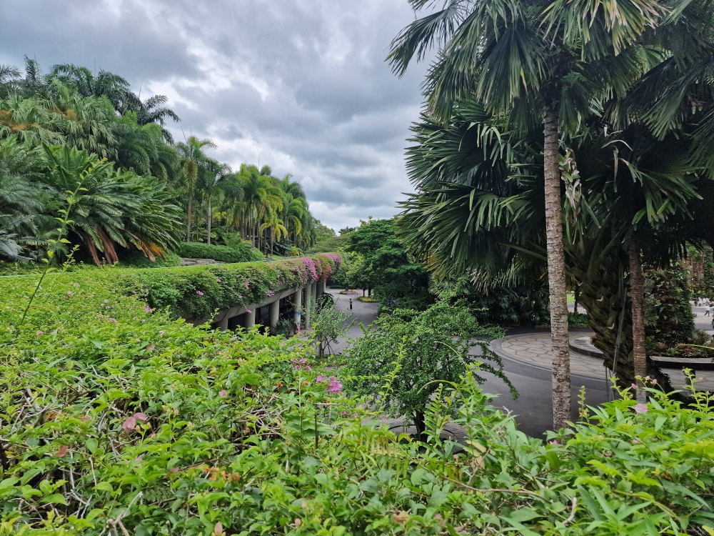 Garden by the bay v Singapure