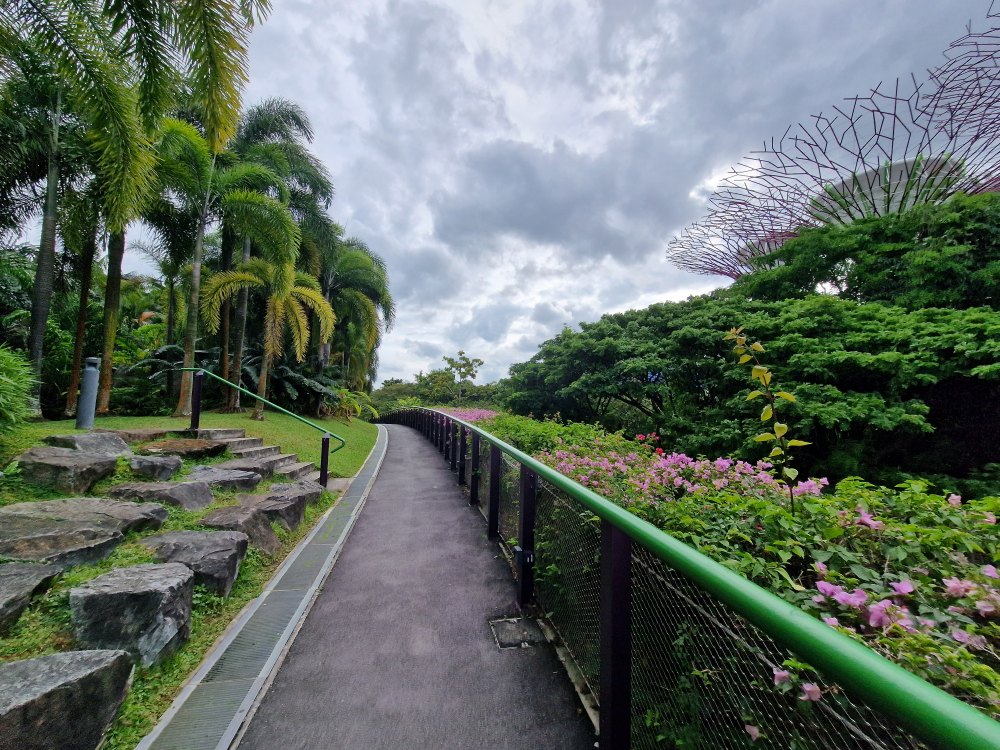 Garden by the bay v Singapure
