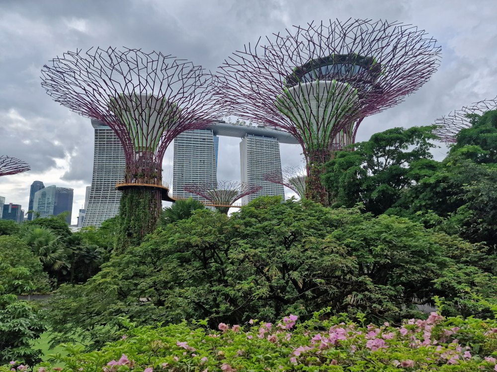 Garden by the bay v Singapure